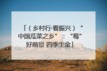 （乡村行·看振兴）“中国瓜菜之乡”：“莓”好前景 四季生金