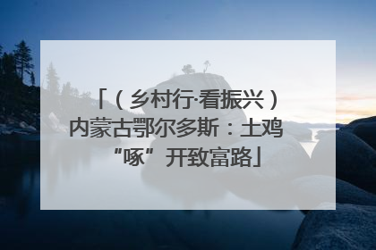 （乡村行·看振兴）内蒙古鄂尔多斯：土鸡“啄”开致富路