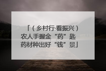 （乡村行·看振兴）农人手握金“药”匙 药材种出好“钱”景