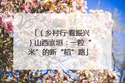 （乡村行·看振兴）山西襄垣：一粒“米”的新“稻”路