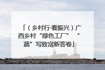 （乡村行·看振兴）广西乡村“绿色工厂” “蔬”写致富新答卷