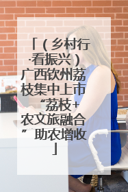 （乡村行·看振兴）广西钦州荔枝集中上市 “荔枝+农文旅融合”助农增收