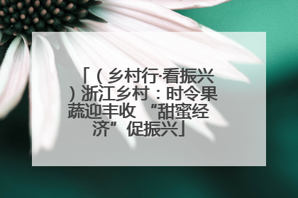 （乡村行·看振兴）浙江乡村：时令果蔬迎丰收 “甜蜜经济”促振兴