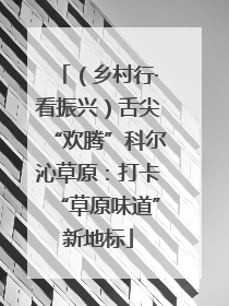 （乡村行·看振兴）舌尖“欢腾”科尔沁草原：打卡“草原味道”新地标