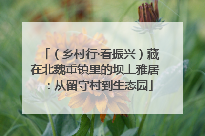 （乡村行·看振兴）藏在北魏重镇里的坝上雅居：从留守村到生态园