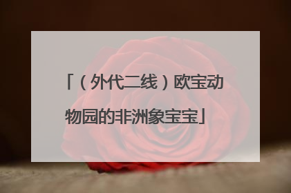 （外代二线）欧宝动物园的非洲象宝宝