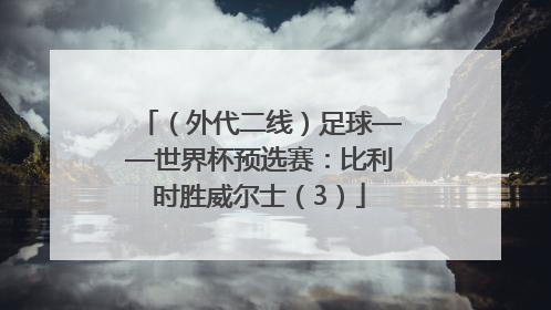 （外代二线）足球——世界杯预选赛：比利时胜威尔士（3）