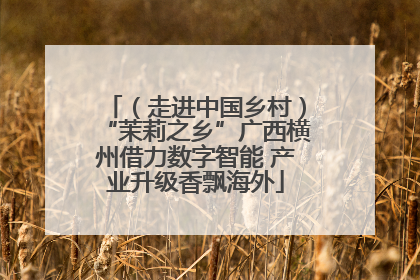 （走进中国乡村）“茉莉之乡”广西横州借力数字智能 产业升级香飘海外