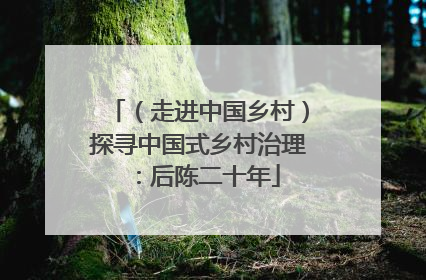（走进中国乡村）探寻中国式乡村治理：后陈二十年