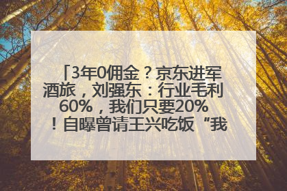 3年0佣金？京东进军酒旅，刘强东：行业毛利60%，我们只要20%！自曝曾请王兴吃饭“我要做外卖了”