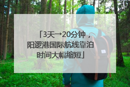 3天→20分钟，阳逻港国际航线靠泊时间大幅缩短