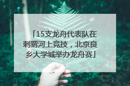 15支龙舟代表队在刺猬河上竞技，北京良乡大学城举办龙舟赛