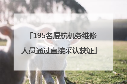 195名厦航机务维修人员通过直接采认获证