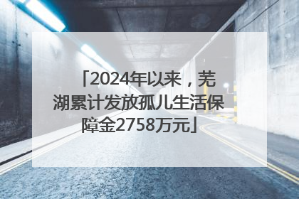 2024年以来，芜湖累计发放孤儿生活保障金2758万元