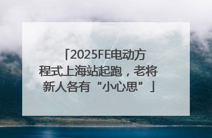 2025FE电动方程式上海站起跑，老将新人各有“小心思”
