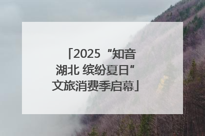2025“知音湖北 缤纷夏日”文旅消费季启幕