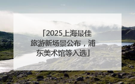 2025上海最佳旅游新场景公布，浦东美术馆等入选