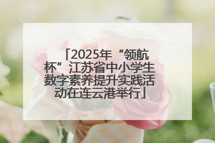 2025年“领航杯”江苏省中小学生数字素养提升实践活动在连云港举行