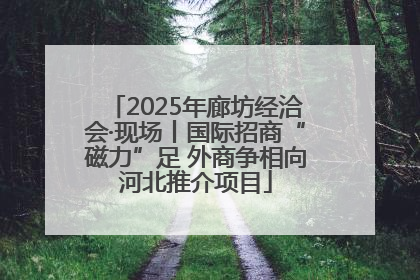 2025年廊坊经洽会·现场丨国际招商“磁力”足 外商争相向河北推介项目