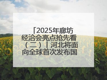 2025年廊坊经洽会亮点抢先看（二）丨河北将面向全球首次发布国际化招商地图