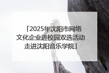 2025年沈阳市网络文化企业进校园双选活动走进沈阳音乐学院