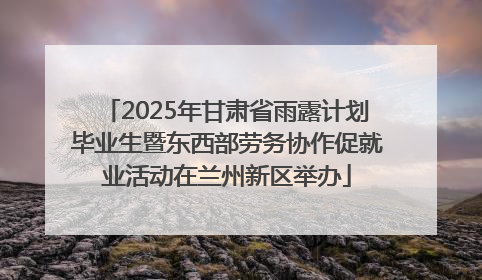 2025年甘肃省雨露计划毕业生暨东西部劳务协作促就业活动在兰州新区举办