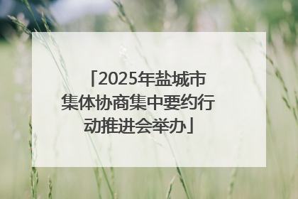 2025年盐城市集体协商集中要约行动推进会举办