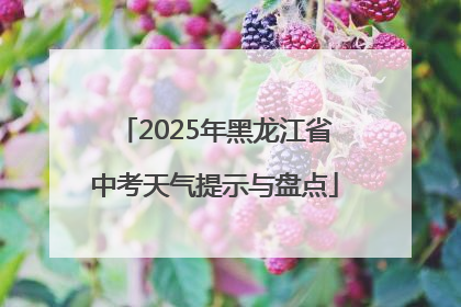 2025年黑龙江省中考天气提示与盘点