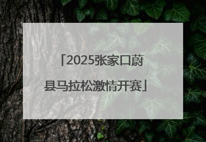 2025张家口蔚县马拉松激情开赛
