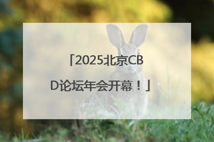 2025北京CBD论坛年会开幕！