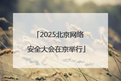 2025北京网络安全大会在京举行