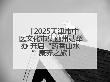 2025天津市中医文化市集蓟州站举办 开启“药香山水”康养之旅