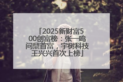 2025新财富500创富榜：张一鸣问鼎首富，宇树科技王兴兴首次上榜