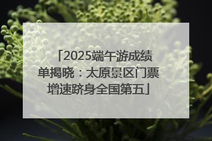 2025端午游成绩单揭晓：太原景区门票增速跻身全国第五
