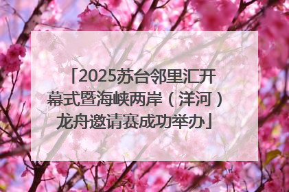 2025苏台邻里汇开幕式暨海峡两岸（洋河）龙舟邀请赛成功举办