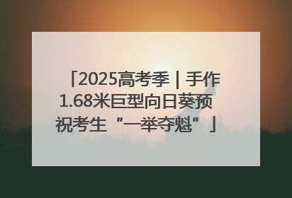 2025高考季｜手作1.68米巨型向日葵预祝考生“一举夺魁”