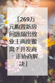 269万元购置新房问题频出致业主两度搬离？开发商：正协商解决