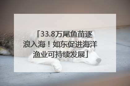 33.8万尾鱼苗逐浪入海！如东促进海洋渔业可持续发展
