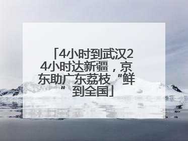 4小时到武汉24小时达新疆，京东助广东荔枝“鲜”到全国