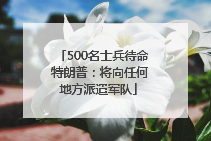 500名士兵待命 特朗普：将向任何地方派遣军队