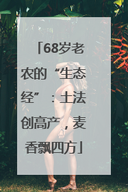 68岁老农的“生态经”：土法创高产，麦香飘四方