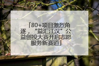 80+项目激烈角逐，“益汇江汉”公益创投大赛开启志愿服务新赛道