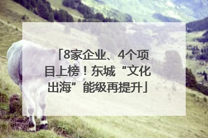 8家企业、4个项目上榜！东城“文化出海”能级再提升