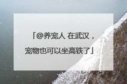 @养宠人 在武汉，宠物也可以坐高铁了