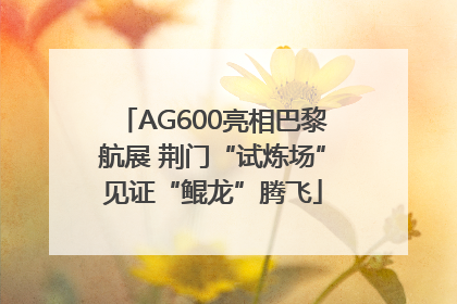 AG600亮相巴黎航展 荆门“试炼场”见证“鲲龙”腾飞