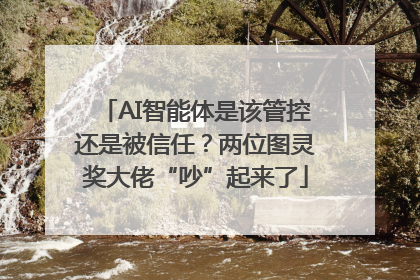 AI智能体是该管控还是被信任？两位图灵奖大佬“吵”起来了